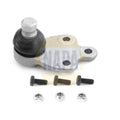 NAPA Ball Joint Front Right NST0241
