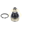 NAPA Ball Joint Front Right NST0233