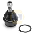 NAPA Ball Joint Front Right NST0232