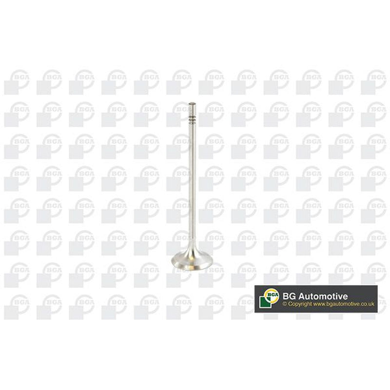 BGA Engine Intake Valve 28mm Head V016839