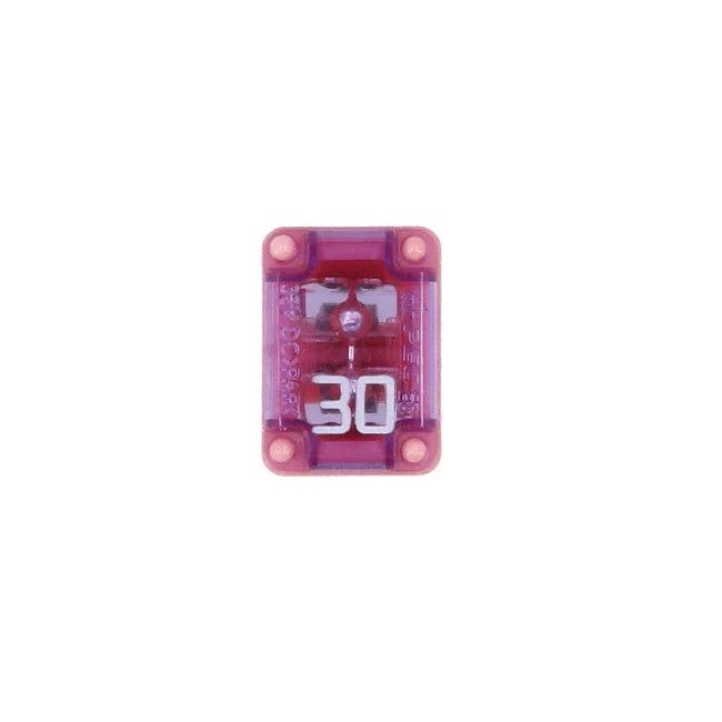 Connect Slotted M-Case Fuse 30A 2pc - CPL