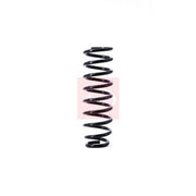 Apec Rear Suspension Coil Spring ACS1396