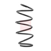 Apec Front Suspension Coil Spring ACS2453