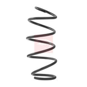 Apec Front Suspension Coil Spring ACS2453