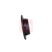 Apec 2 x Solid Rear Brake Discs DSK2672