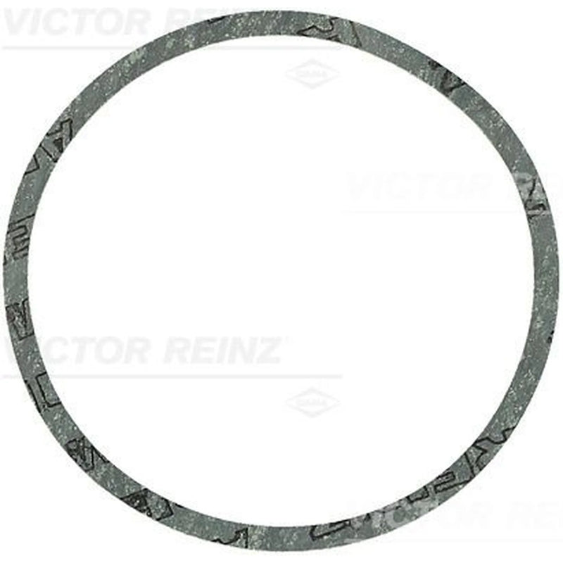 Victor Reinz Sealing Ring Gasket 40-81170-00