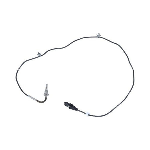 NRF Exhaust Gas Temperature Sensor before soot particulate fil 707185