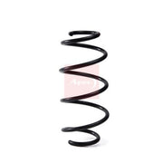 Apec Front Suspension Coil Spring ACS1995