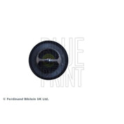 Blue Print Thermostat,Coolant ADZ99218