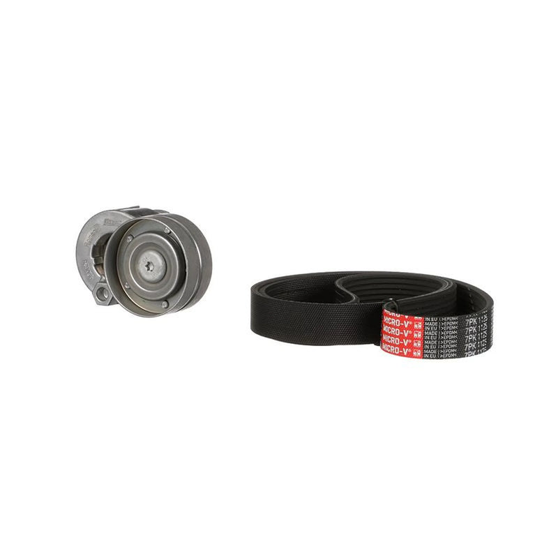 Gates V-Ribbed Belt Set K017PK1125