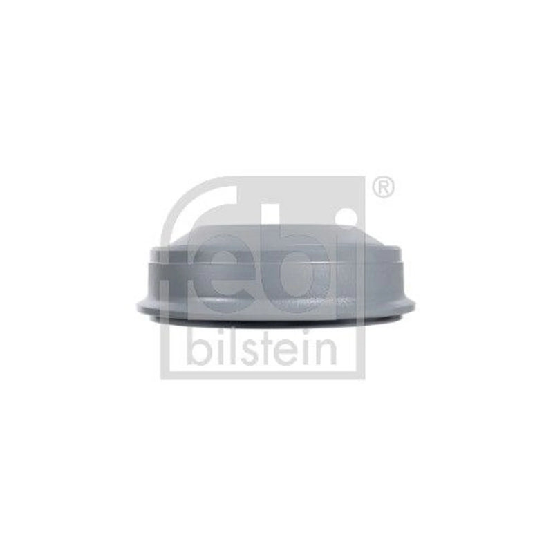 Febi Brake Drum Assembly Rear 07889