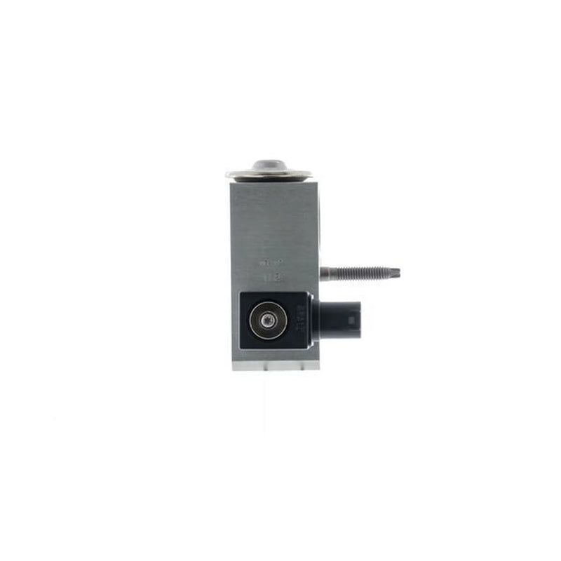Mahle Air Conditioning Expansion Valve AVE 159 000P