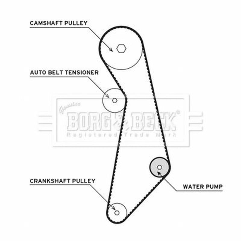 Borg & Beck Timing Belt & Water Pump Kit BTW1003