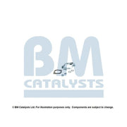 BM Catalysts Fitting Kit FK92784B FK92784B