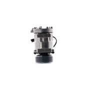 Mahle Air Conditioning Compressor ACP 1720 000S