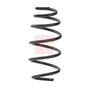 Apec Front Suspension Coil Spring ACS2490