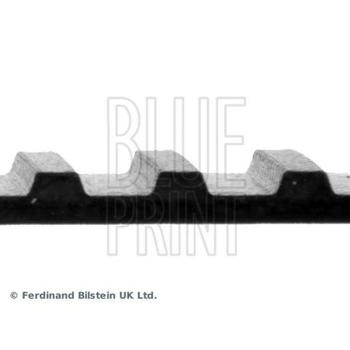 Blue Print Timing Belt Cambelt 89 Te ADK87501