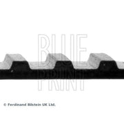 Blue Print Timing Belt Cambelt 89 Te ADK87501