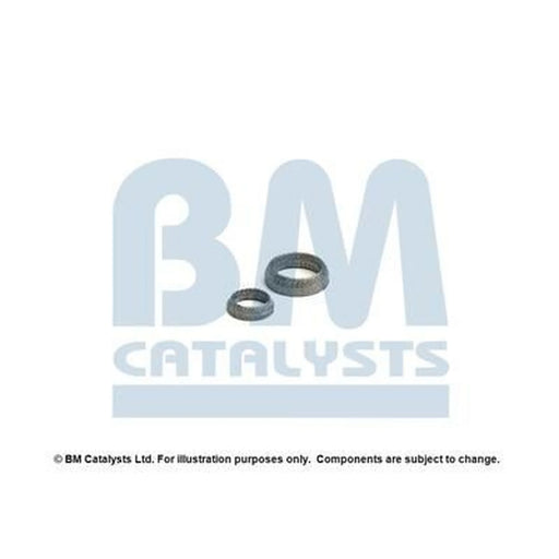 BM Catalysts Fitting Kit FK92090A FK92090A