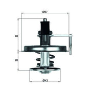 Mahle Thermostat,Coolant TX 22 84D