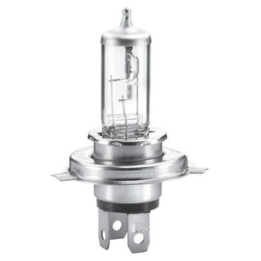 Hella Bulb H7 12V 55W PX26D 8GH 8GH 223 498-448