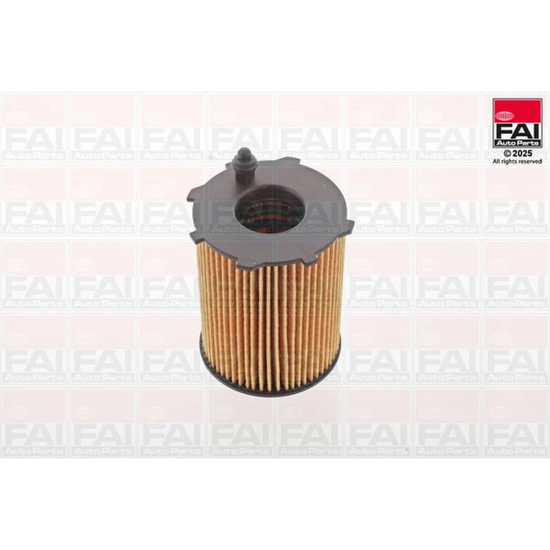 FAI Engine Oil Filter OF117