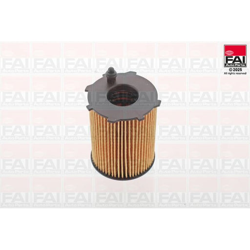 FAI Engine Oil Filter OF117
