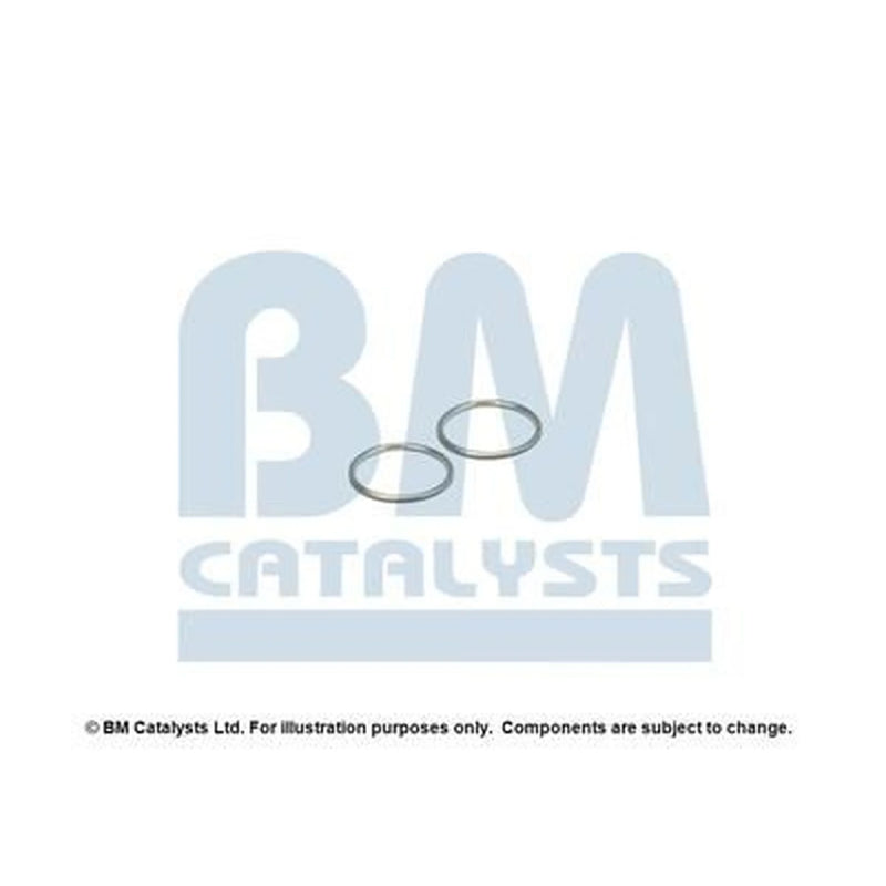 BM Catalysts Fitting Kit FK90761A FK90761A