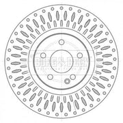 Borg & Beck 2 x Front Brake Discs BBD6081S
