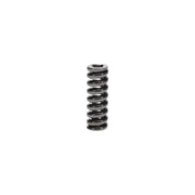 Bosch Compression Spring 2 434 619 073
