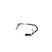 NRF Exhaust Gas Temperature Sensor before soot particula 707271