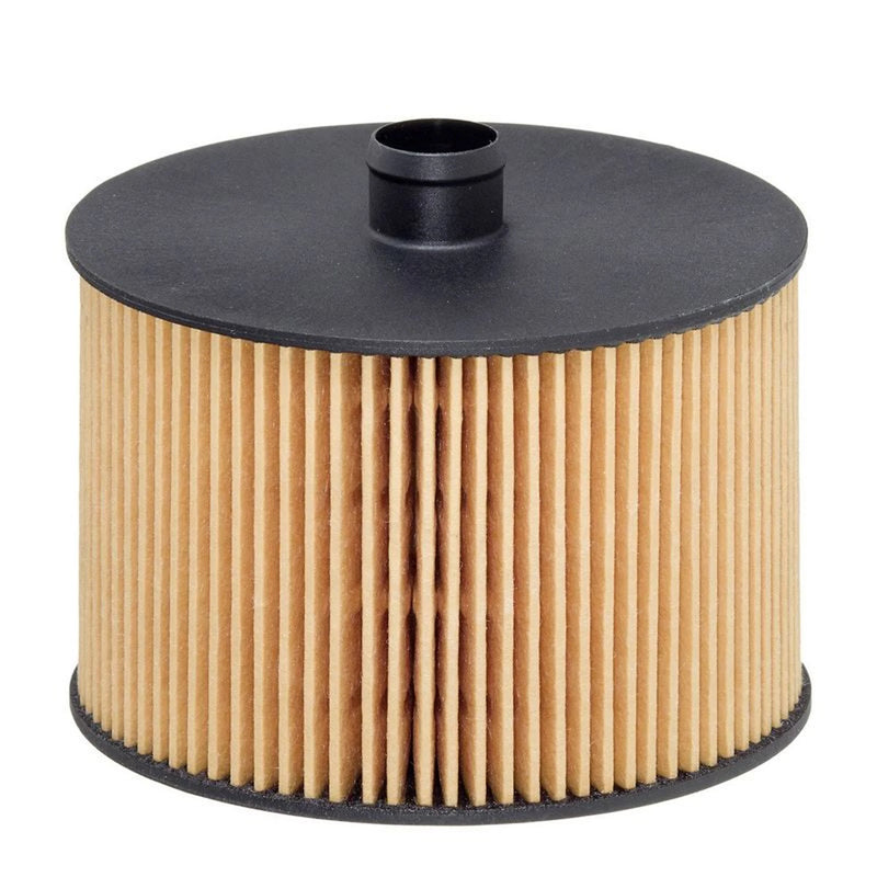 Hengst Fuel Filter Element E79KP D118