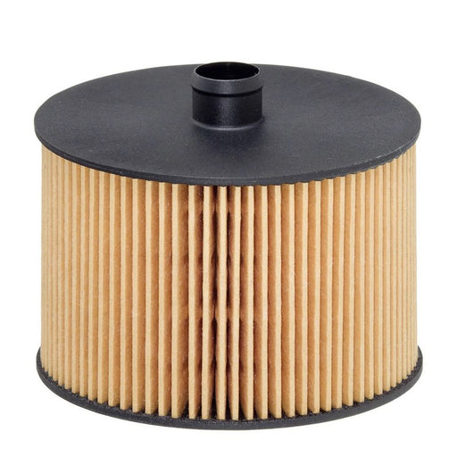 Hengst Fuel Filter Element E79KP D118