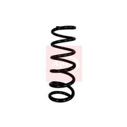 Apec Front & Rear Suspension Springs ACS2074