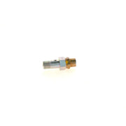 Bosch Fuel Injection Control Valve 1 417 413 049