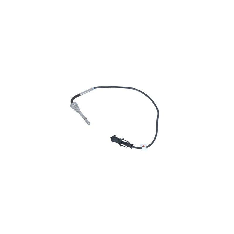NRF Exhaust Gas Temperature Sensor before soot particulate f 707168