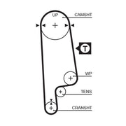 Gates Timing Belt & Water Pump Kit KP15232XS