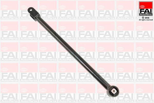 FAI Control/Trailing Arm