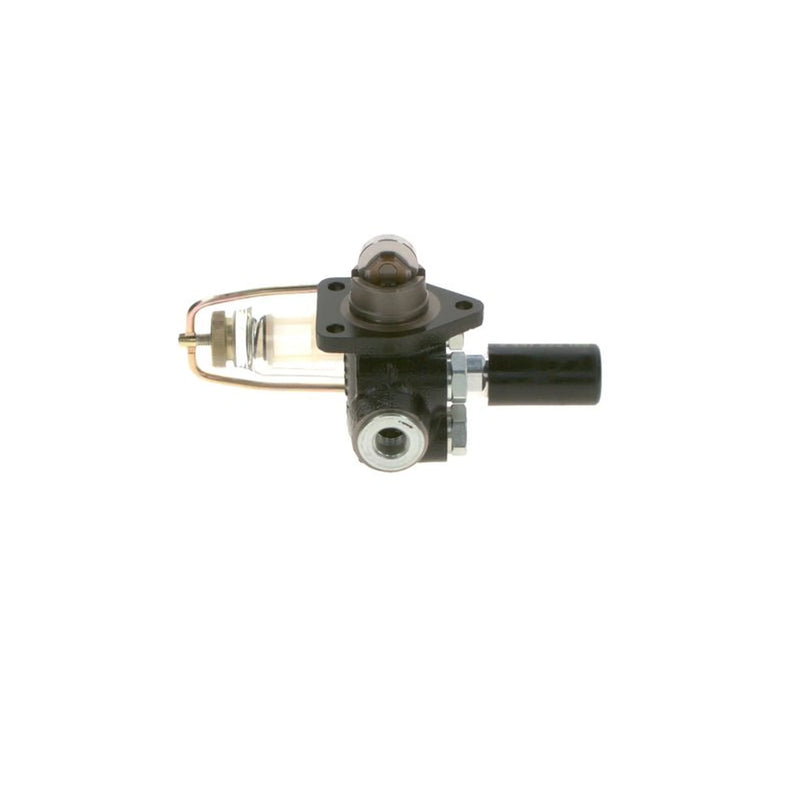 Bosch Fuel Pump Assembly 0 440 008 075