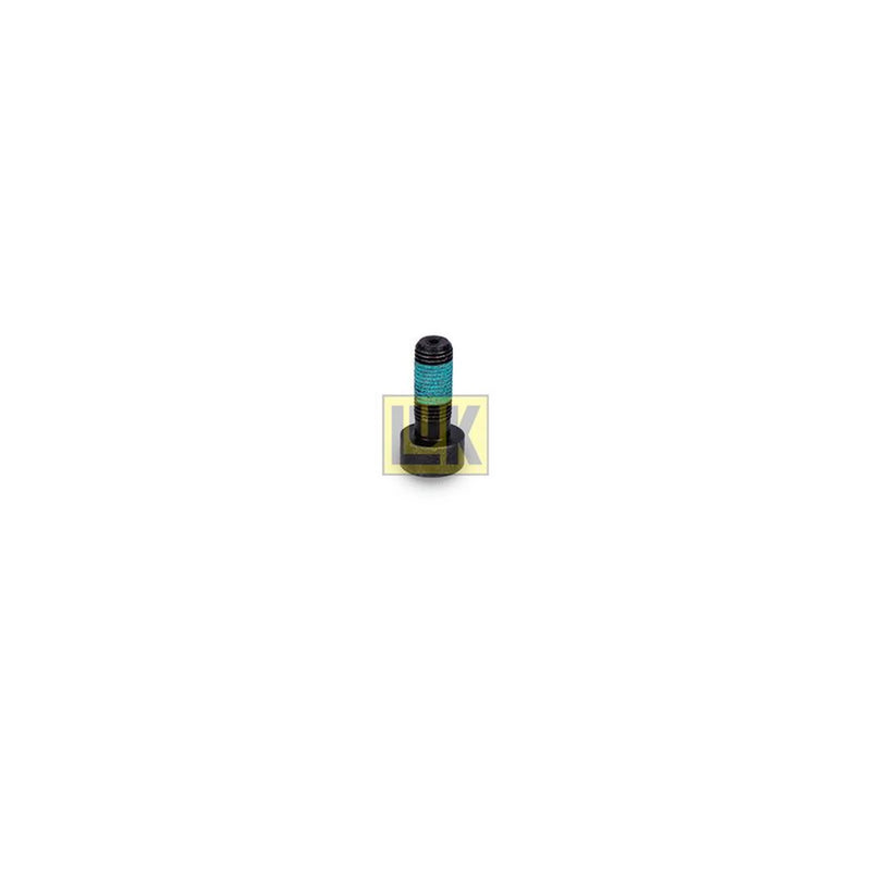 LuK Dmf Bolt Fitting Kit 411015910