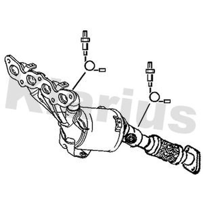 Klarius Catalyst Type Appr With Pipe 323508