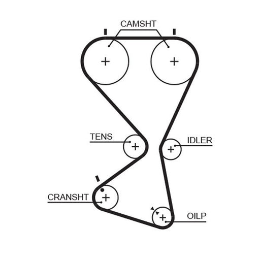 Gates Timing Belt Cambelt 173 Teeth 5556XS