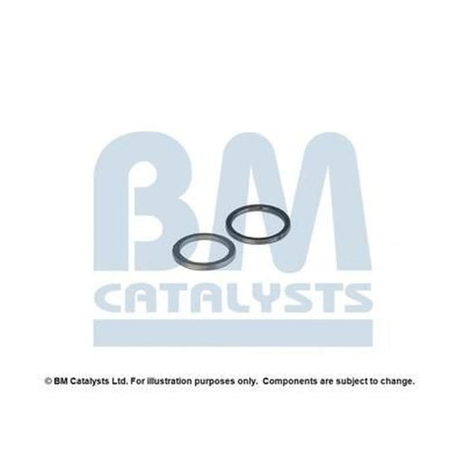 BM Catalysts Fitting Kit FK80321A FK80321A