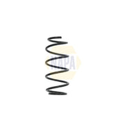 NAPA Front Suspension Coil Spring NCS1620