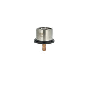 NRF Thermostat,Coolant 725099