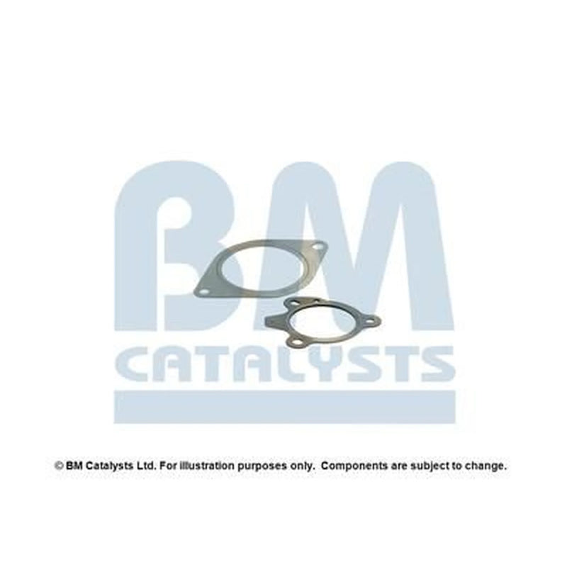 BM Catalysts Fitting Kit FK91974A FK91974A