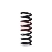 Apec 2 x Suspension Springs ACS2062