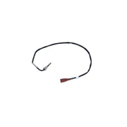 NRF Exhaust Gas Temperature Sensor before soot particu 707084