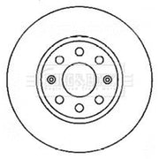 Borg & Beck 2 x Vented Front Brake Discs BBD4553