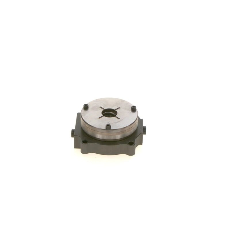 Bosch Fuel Pump Assembly F 019 D04 031